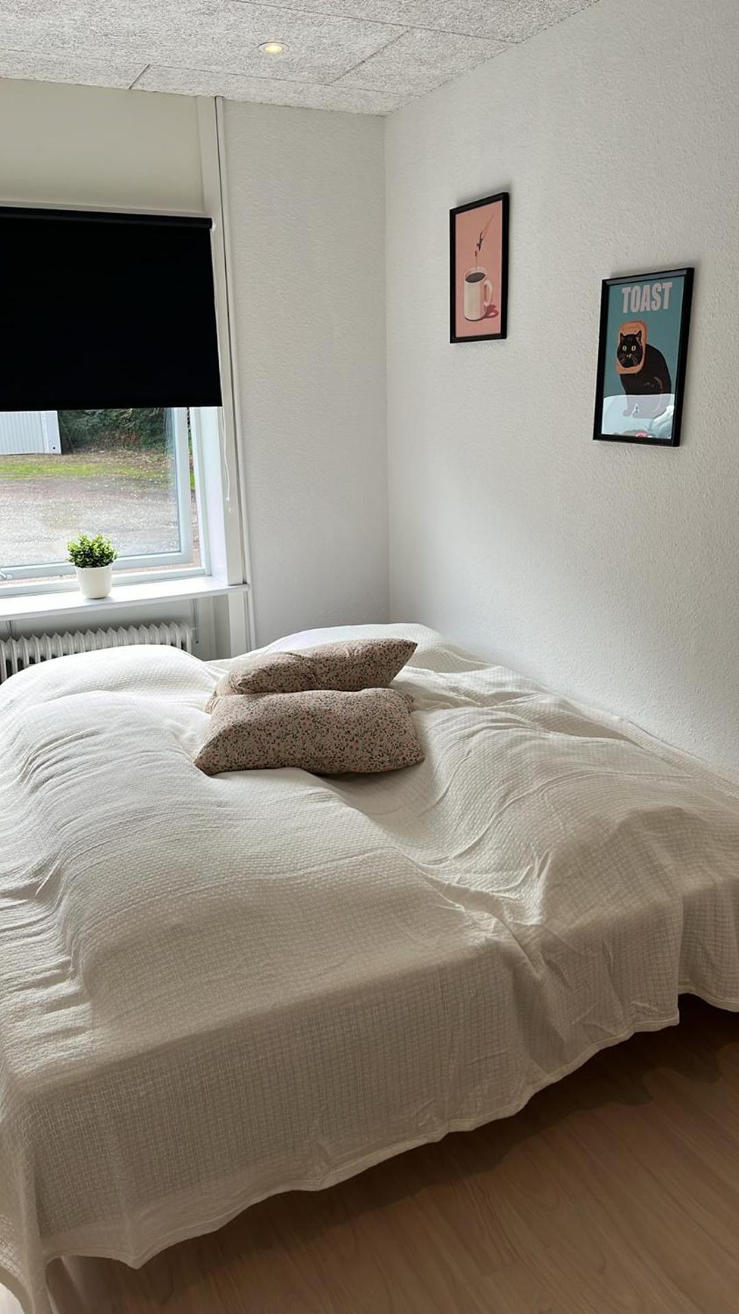 Billund Mini Hostel Room 10 - Taet Pa Legoland Og Lego House Ngoại thất bức ảnh